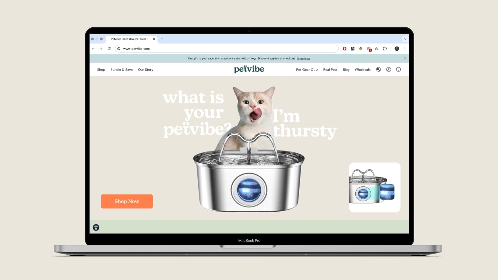 Petvibe Kurumsal Kimlik 15122024 Copy.001