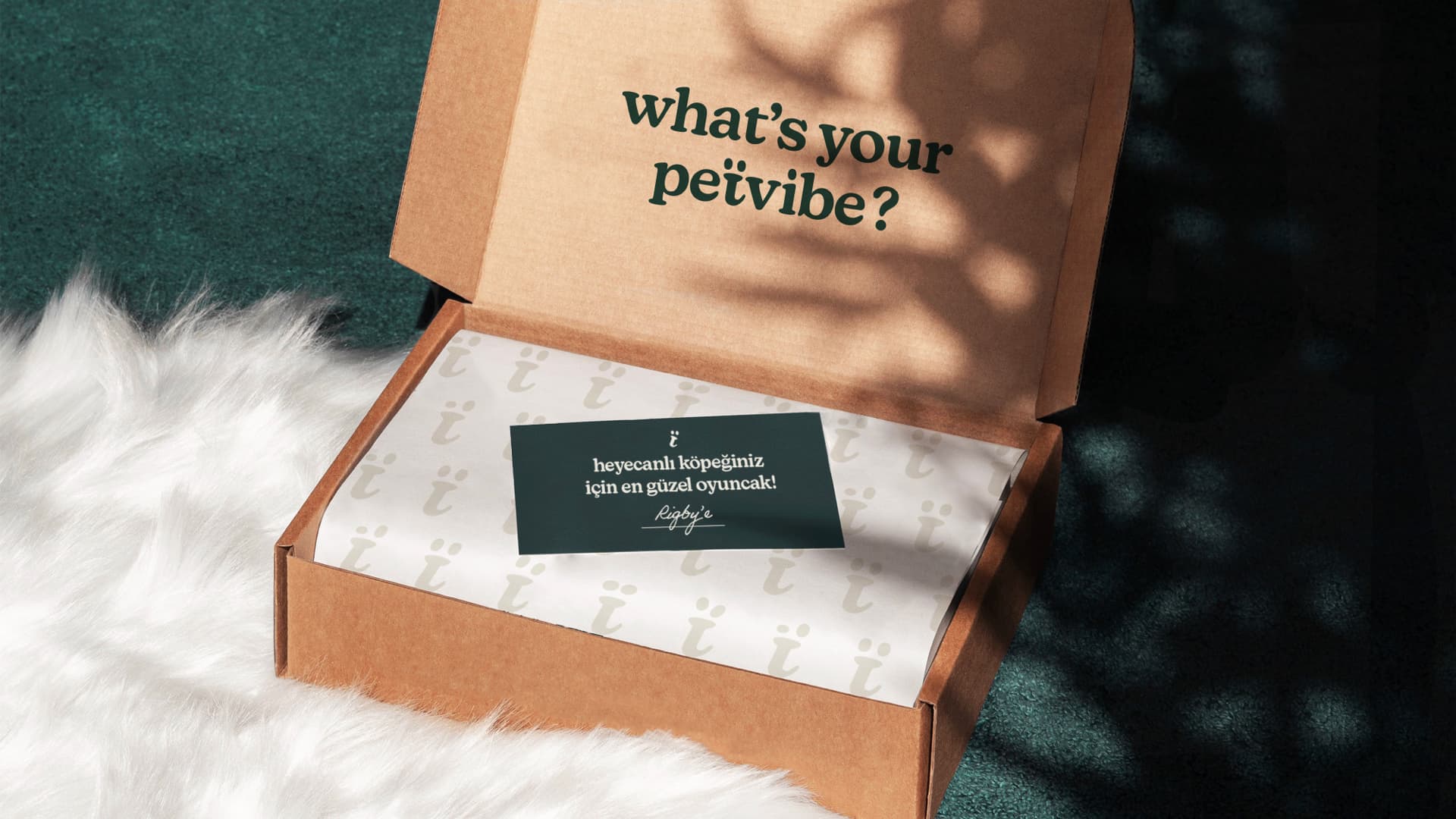 Petvibe Kurumsal Kimlik 15122024.013