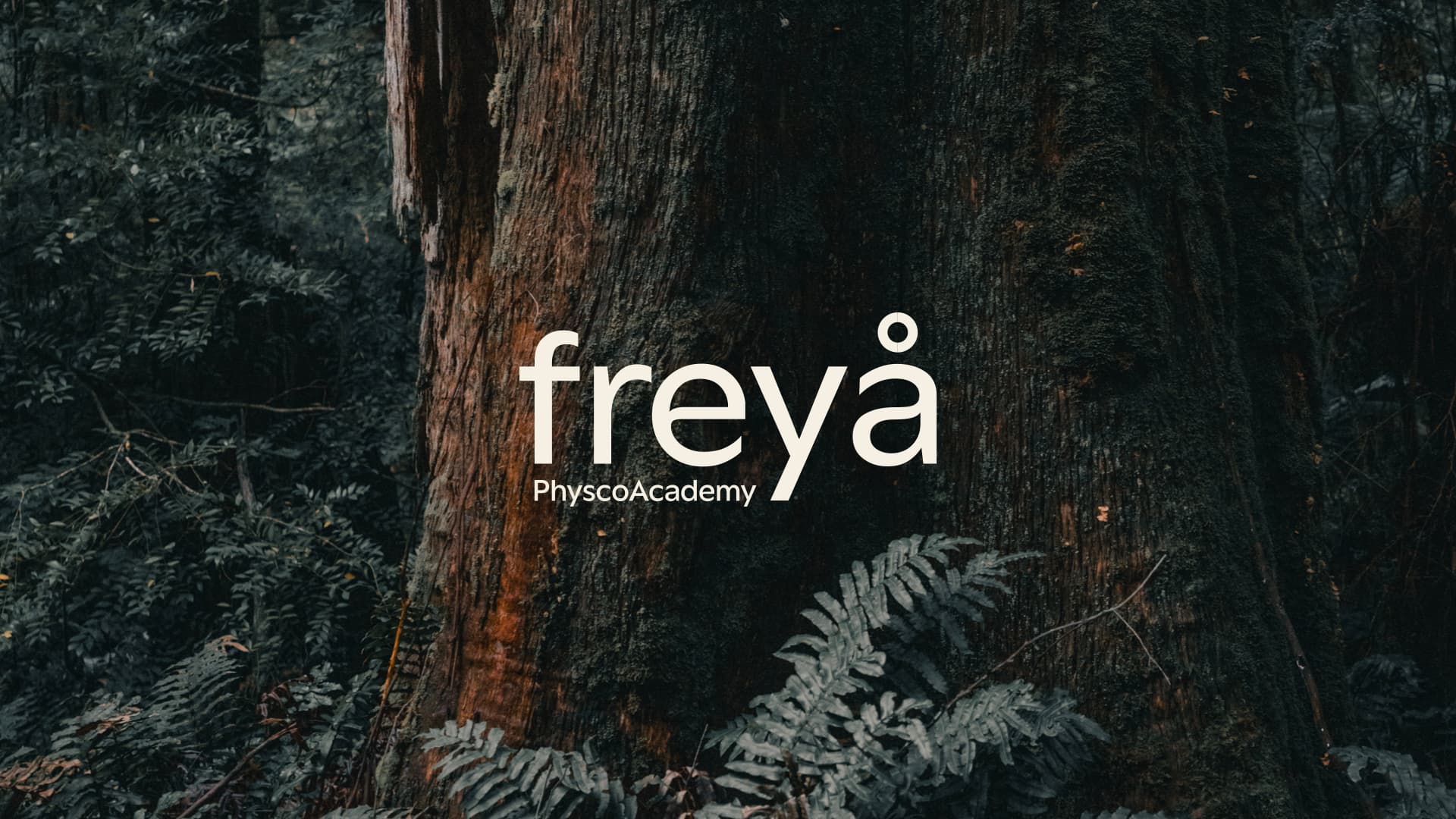 Freya Kurumsal Kimlik 02122023.002