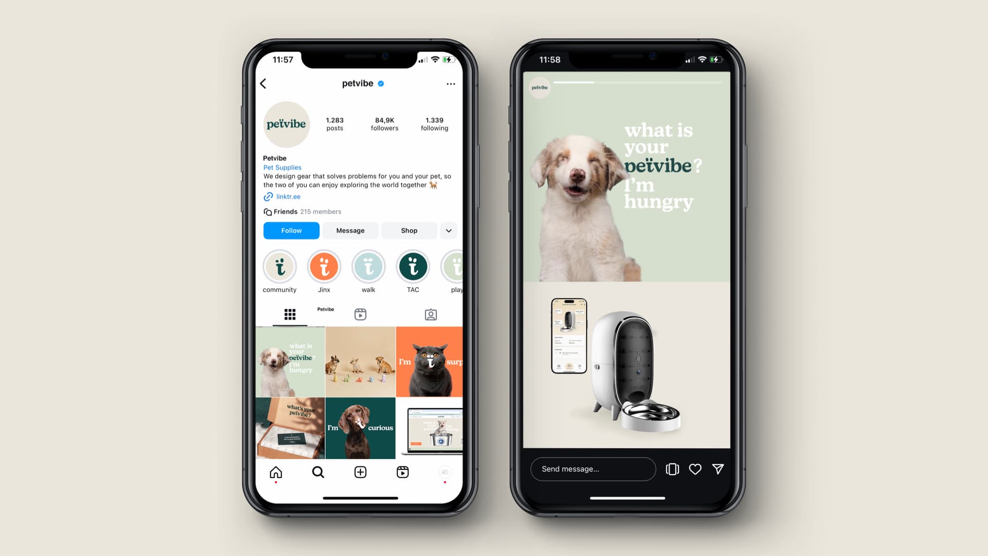 Petvibe Kurumsal Kimlik 15122024 Copy.002