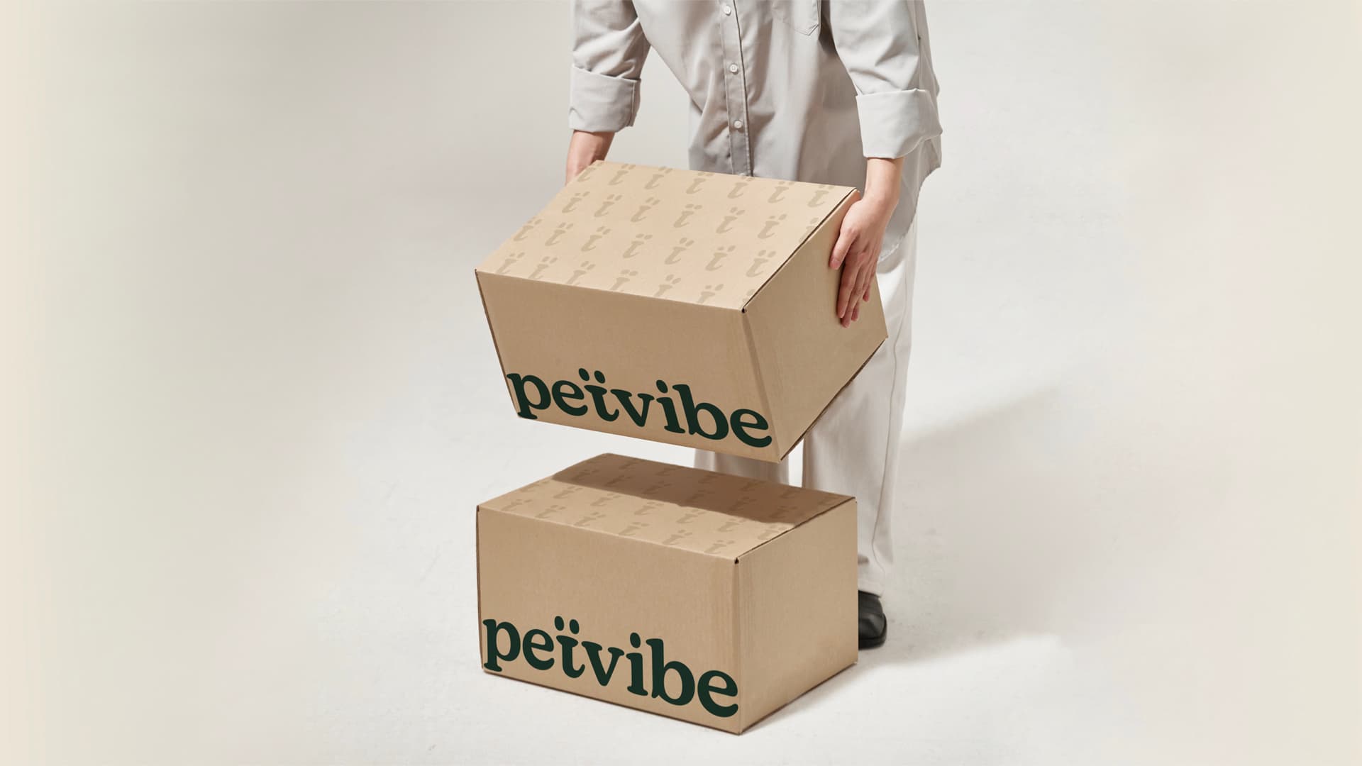 Petvibe Kurumsal Kimlik 15122024.012