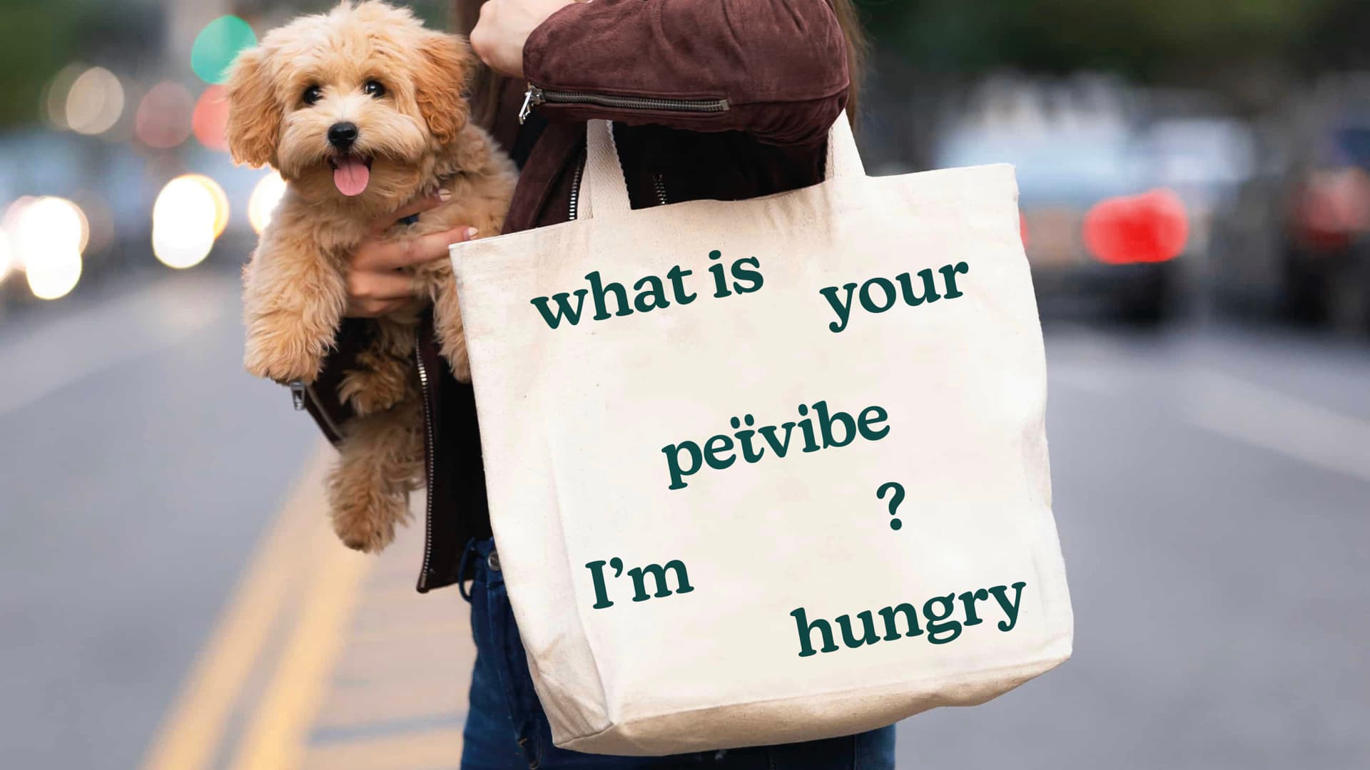 Petvibe Kurumsal Kimlik 15122024.015